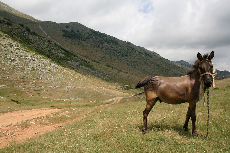 Albania_2009 528